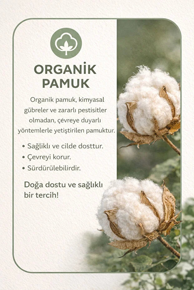 Bequemes Kurzarm-T-Shirt aus 100 % Bio-Baumwolle